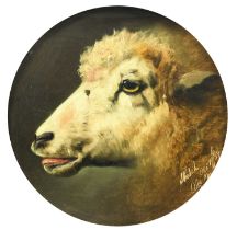 Alfred Morris (fl.1853-1873) "Sketch" head study of a sheep Signed, inscribed and dated Oct 19 (18)