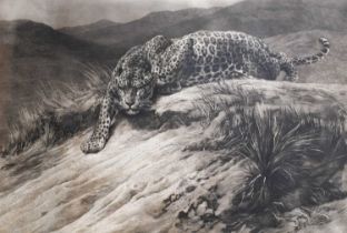 Herbert Thomas Dicksee RE (1862-1942) Prowling leopard Signed in pencil, with reproduced vignette