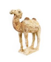 A Chinese Terracotta Model of a Bactrian Camel, Tany Dynasty, standing four-square, head raised,