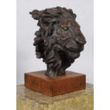 Natural History Bronze: David Cemmick (Contemporary), African Male Lion, a superb example in