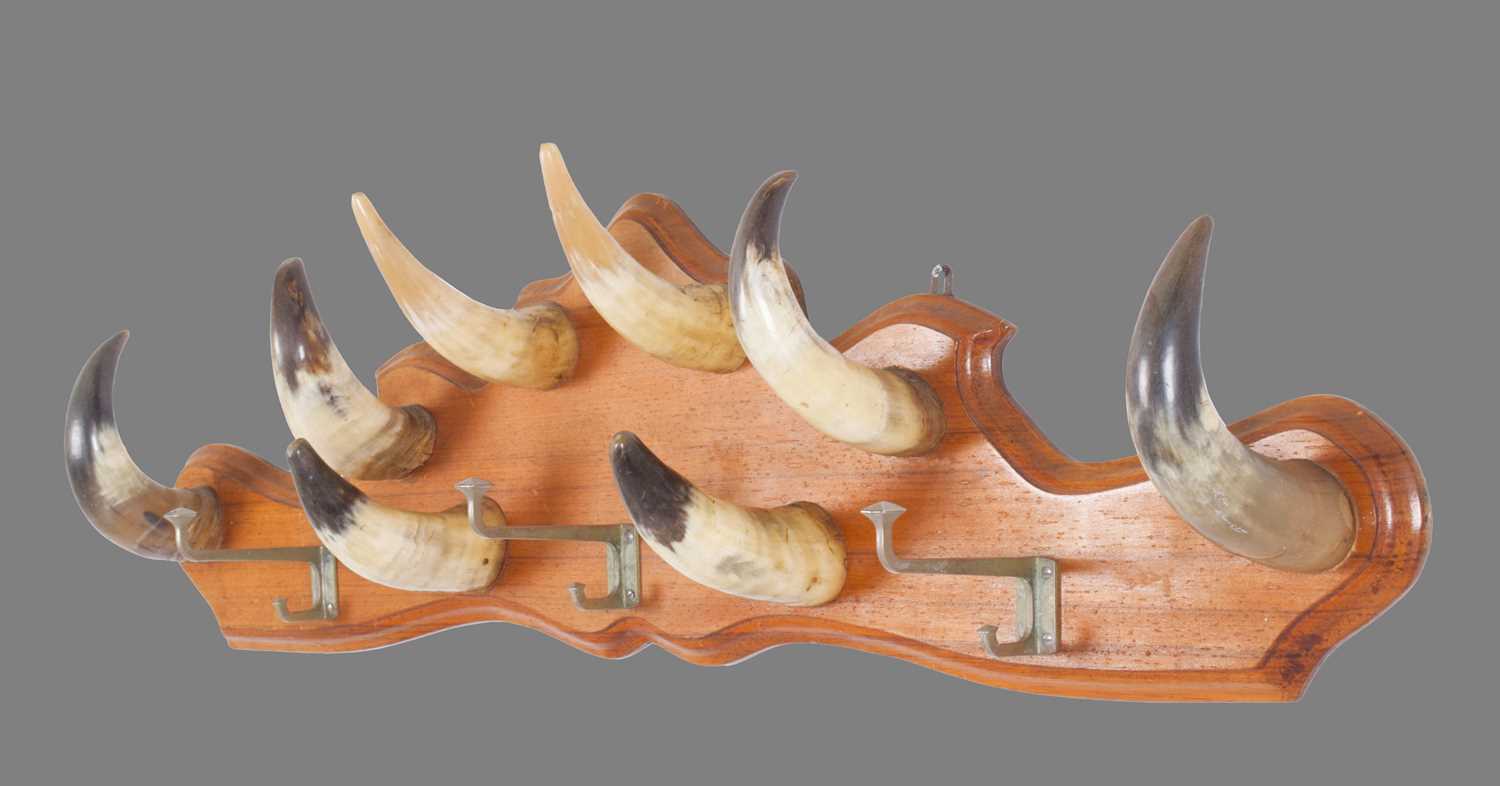 Animal Furniture: A Cow Horn Mounted Coat Rack, circa mid-late 20th century, a walnut framed wall - Bild 3 aus 3