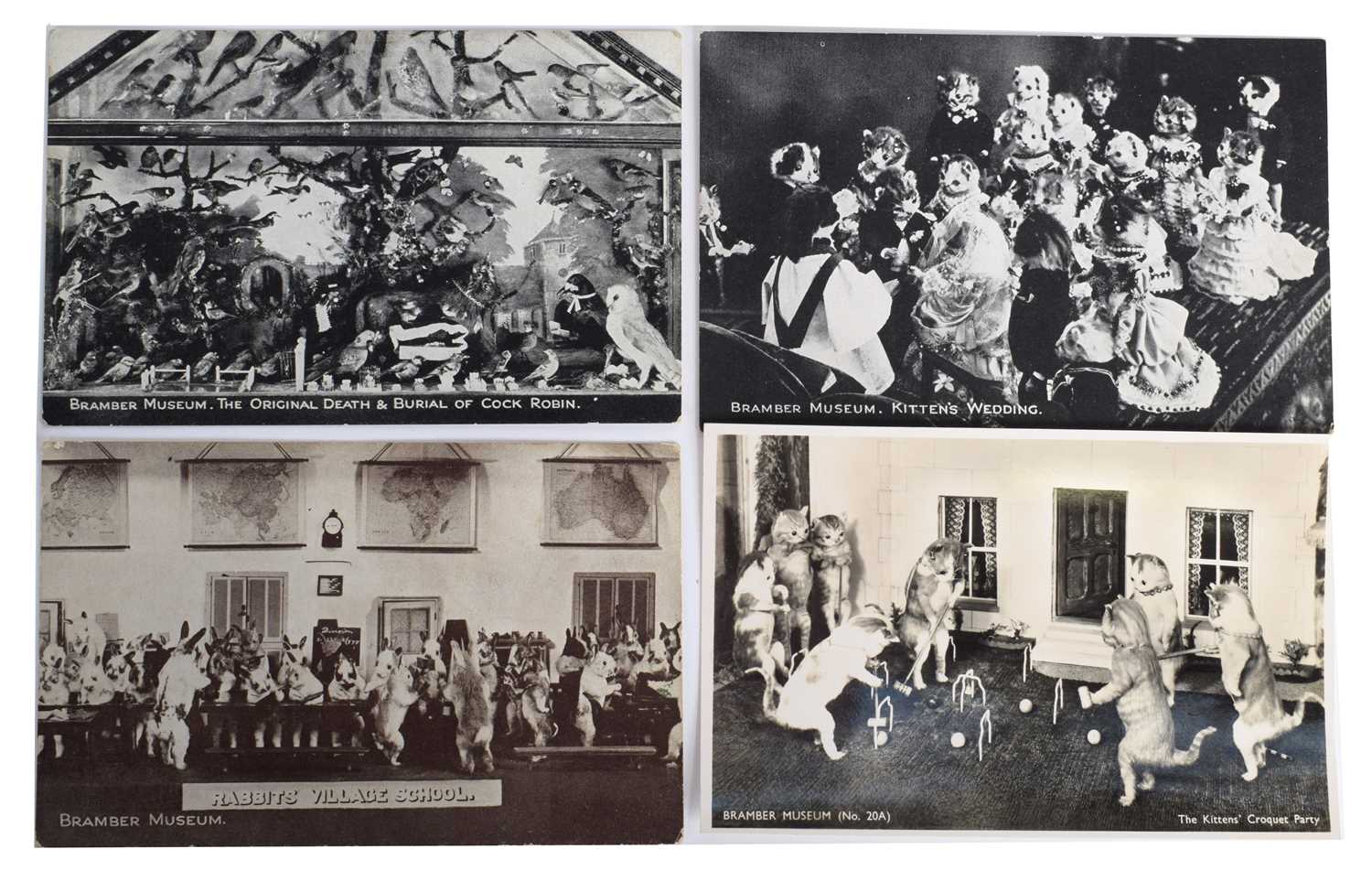 Natural History Ephemera: A Group of Taxidermy Postcards and Photographs Relating to Walter - Image 2 of 6