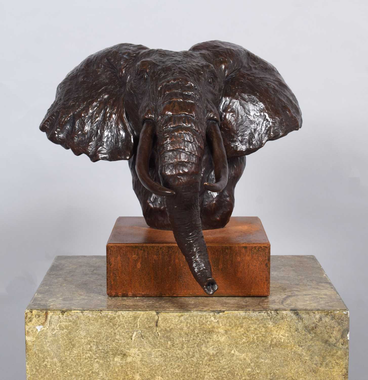 Natural History Bronze: David Cemmick (Contemporary), African Bull Elephant, a superb example in - Image 3 of 6