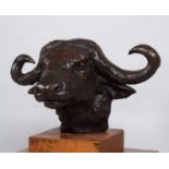 Natural History Bronze: David Cemmick (Contemporary), African Cape Buffalo, a superb example in