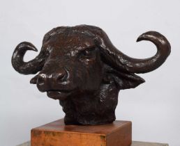 Natural History Bronze: David Cemmick (Contemporary), African Cape Buffalo, a superb example in