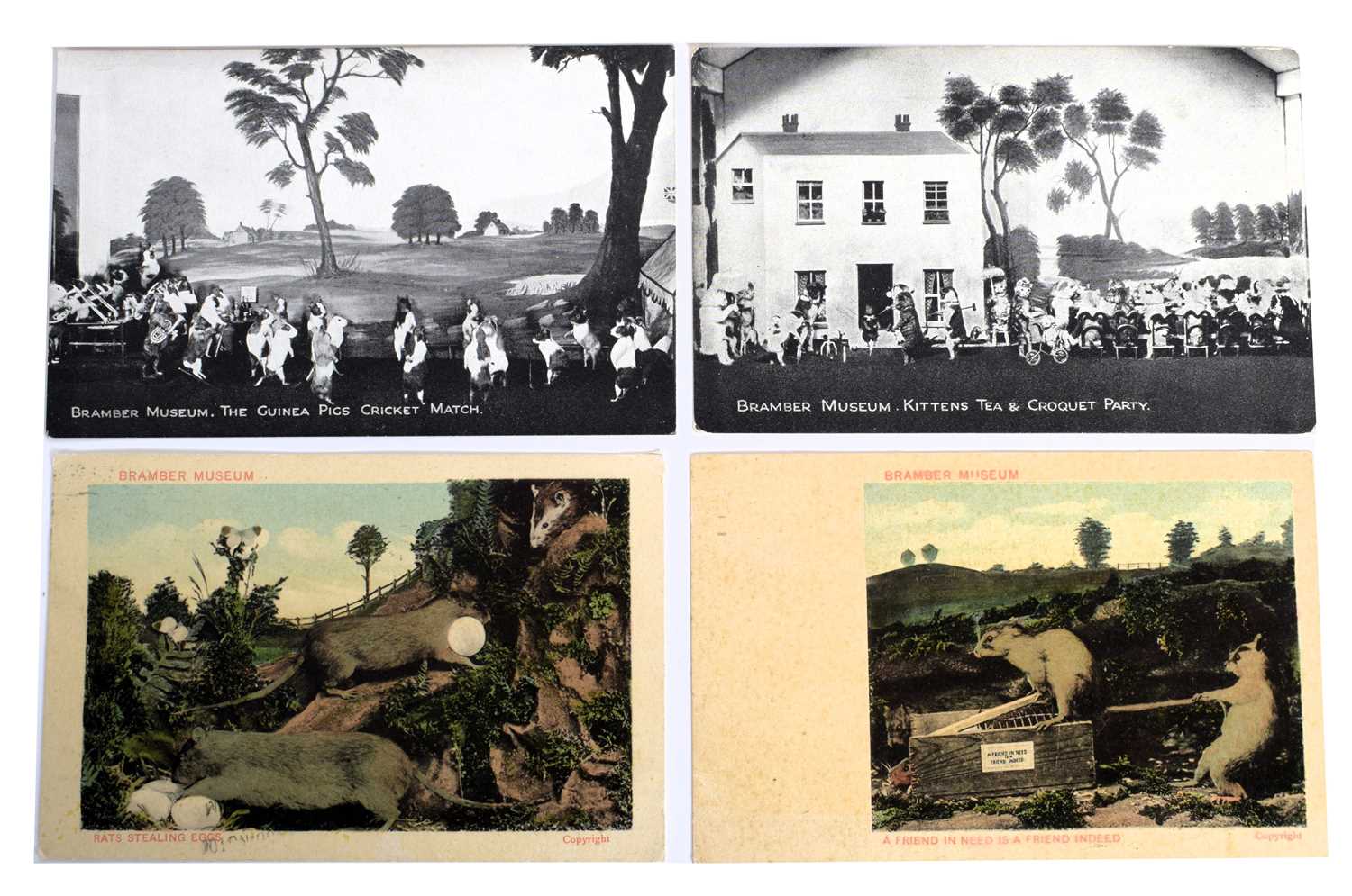 Natural History Ephemera: A Group of Taxidermy Postcards and Photographs Relating to Walter - Image 4 of 6