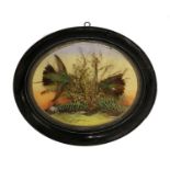 Taxidermy: A Late Victorian Bubble Dome of Hummingbirds, circa 1880-1900, a display containing two