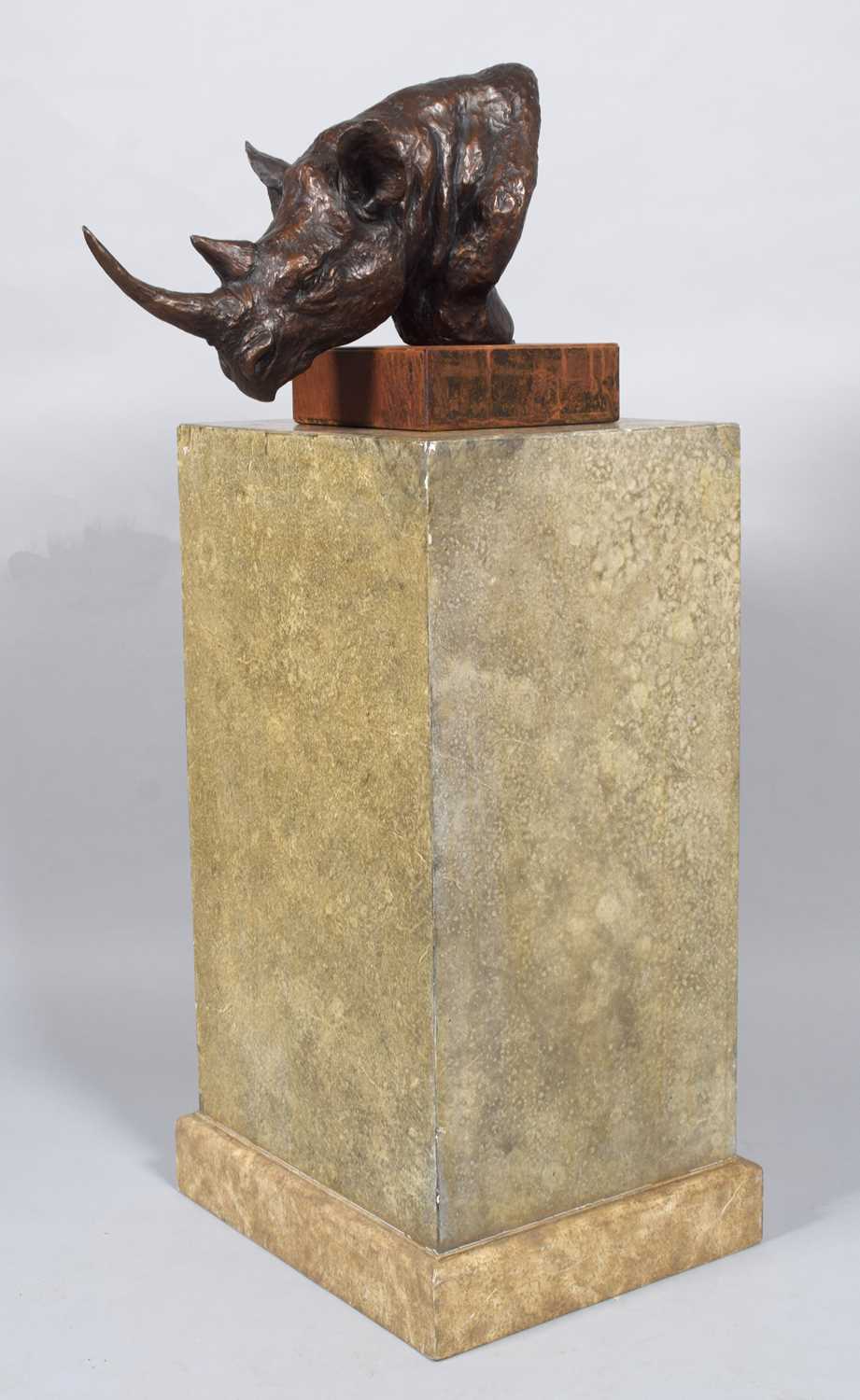 Natural History Bronze: David Cemmick (Contemporary), African Rhinoceros, a superb example in bronze - Bild 6 aus 9