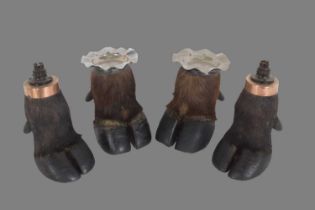 Animal Furniture: A Group of Four Mounted Cape Buffalo Hoofs, circa late 20th century, a pair of