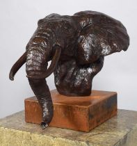 Natural History Bronze: David Cemmick (Contemporary), African Bull Elephant, a superb example in