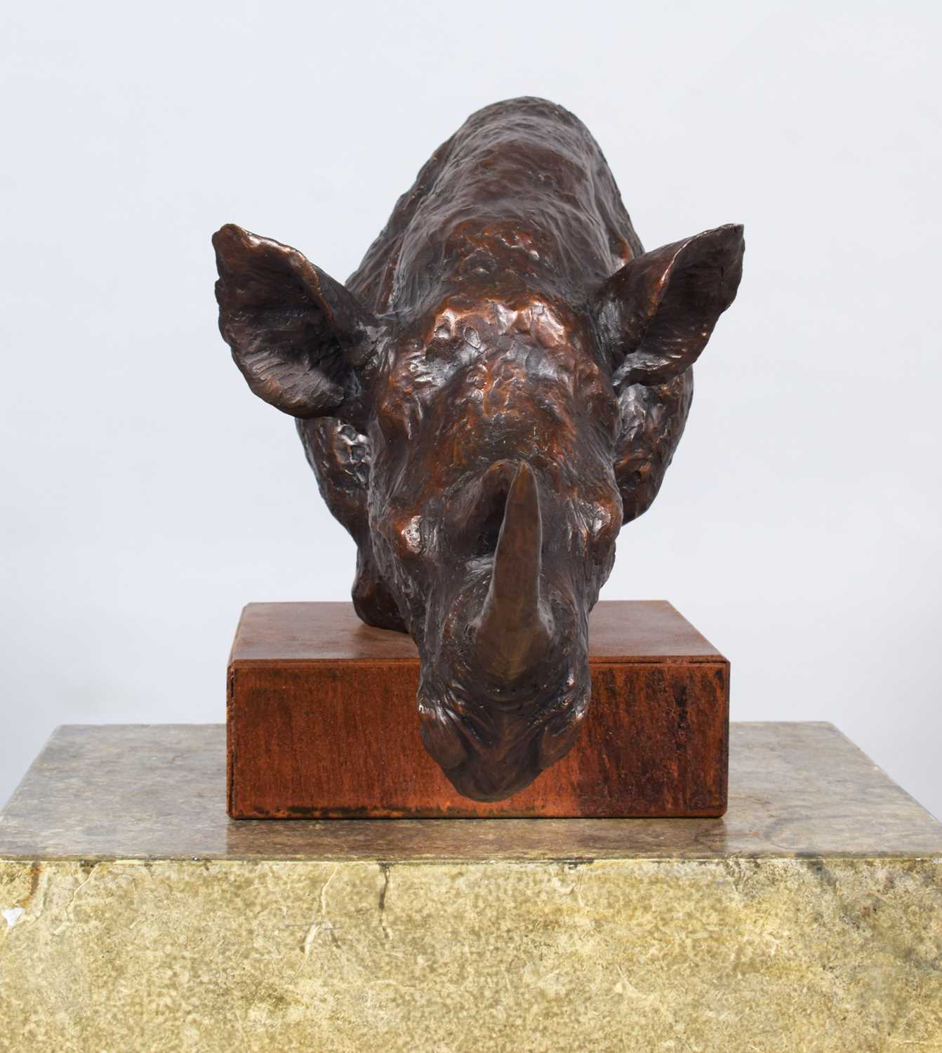 Natural History Bronze: David Cemmick (Contemporary), African Rhinoceros, a superb example in bronze - Bild 5 aus 9