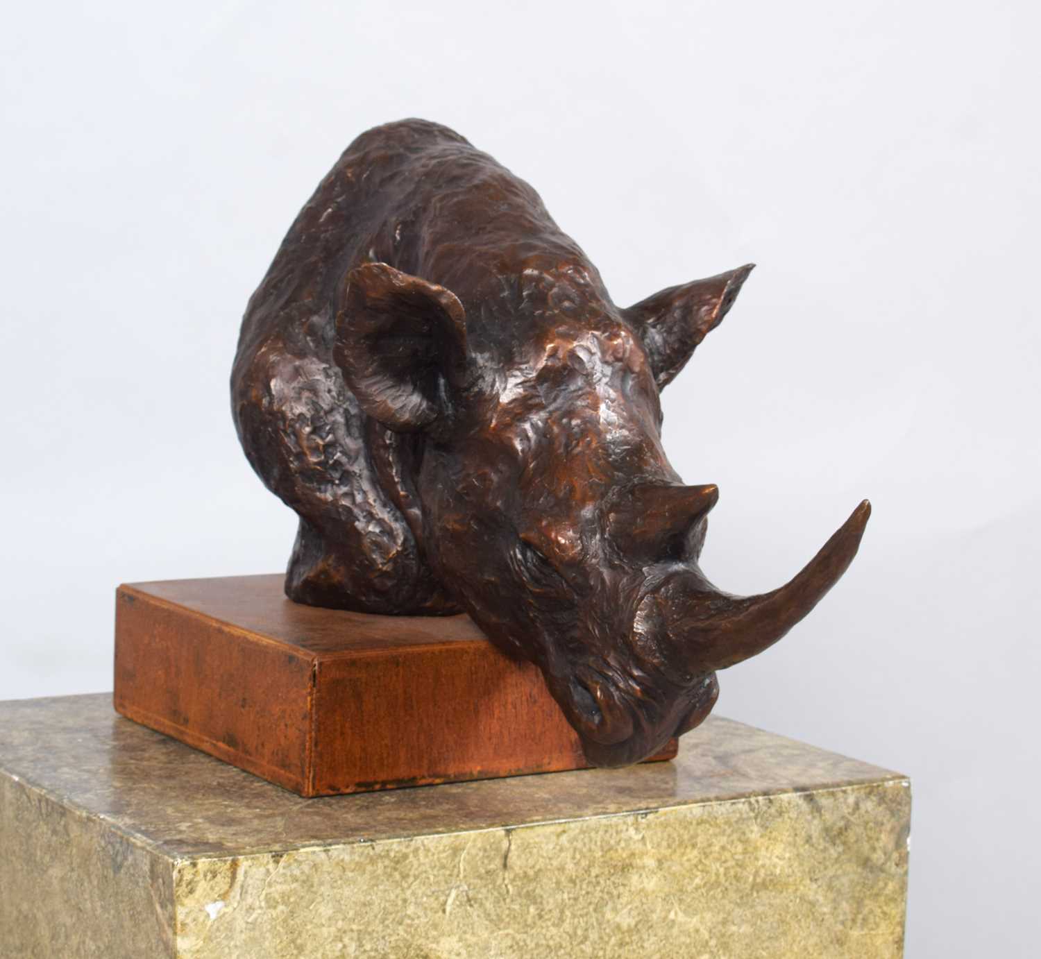 Natural History Bronze: David Cemmick (Contemporary), African Rhinoceros, a superb example in bronze - Bild 4 aus 9