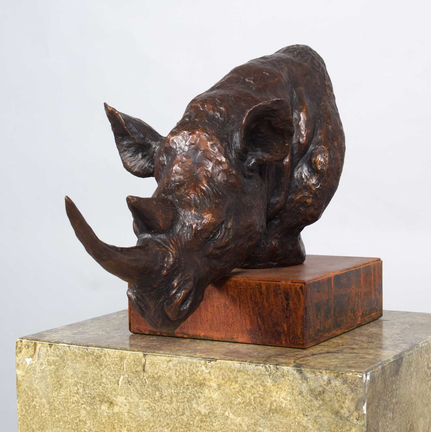 Natural History Bronze: David Cemmick (Contemporary), African Rhinoceros, a superb example in bronze - Bild 3 aus 9