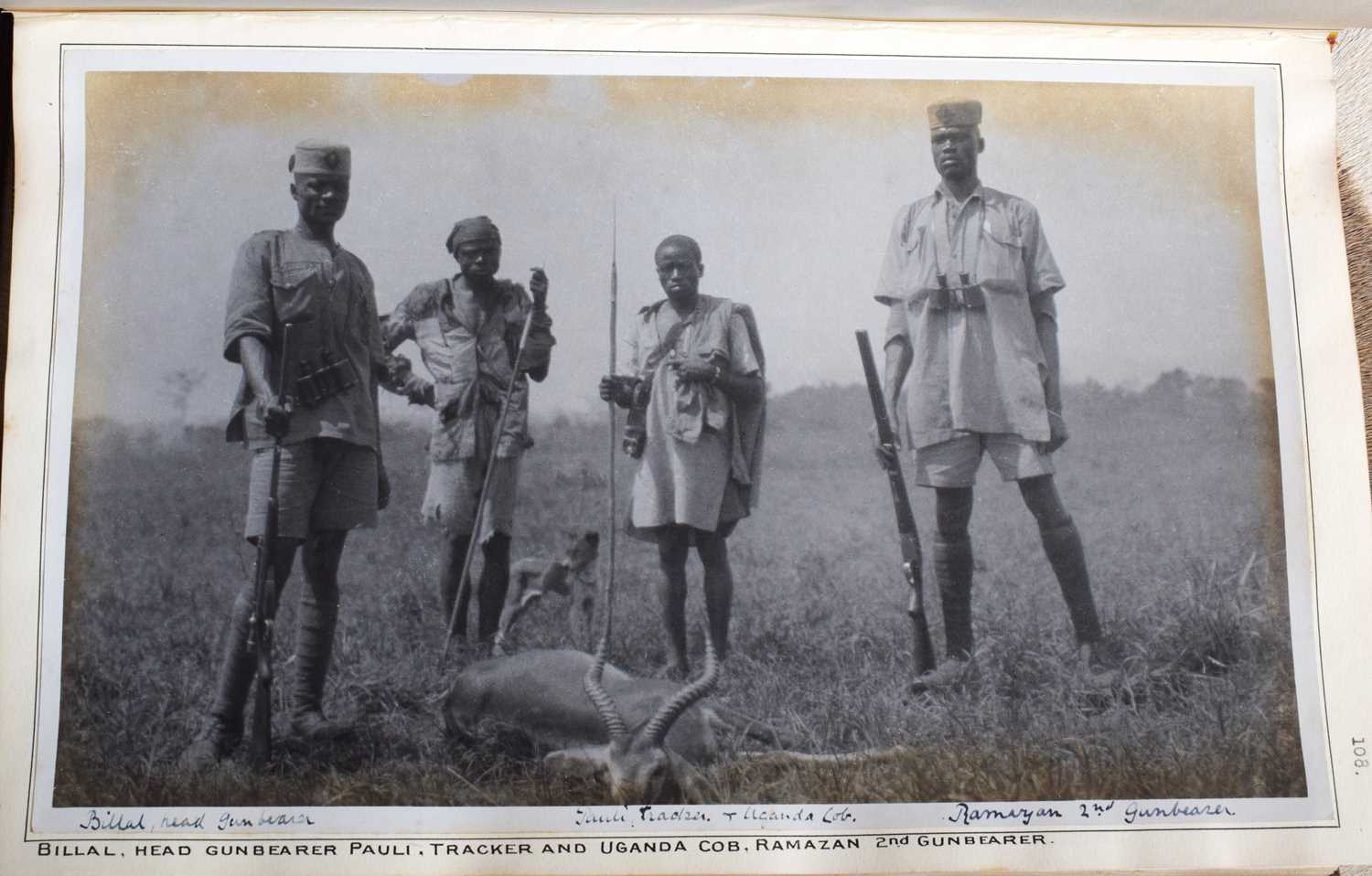 Taxidermy: Uganda Kob (Kobus thomasi), circa Feb 1924, Semliki Valley, Uganda, by Rowland Ward - Image 7 of 7