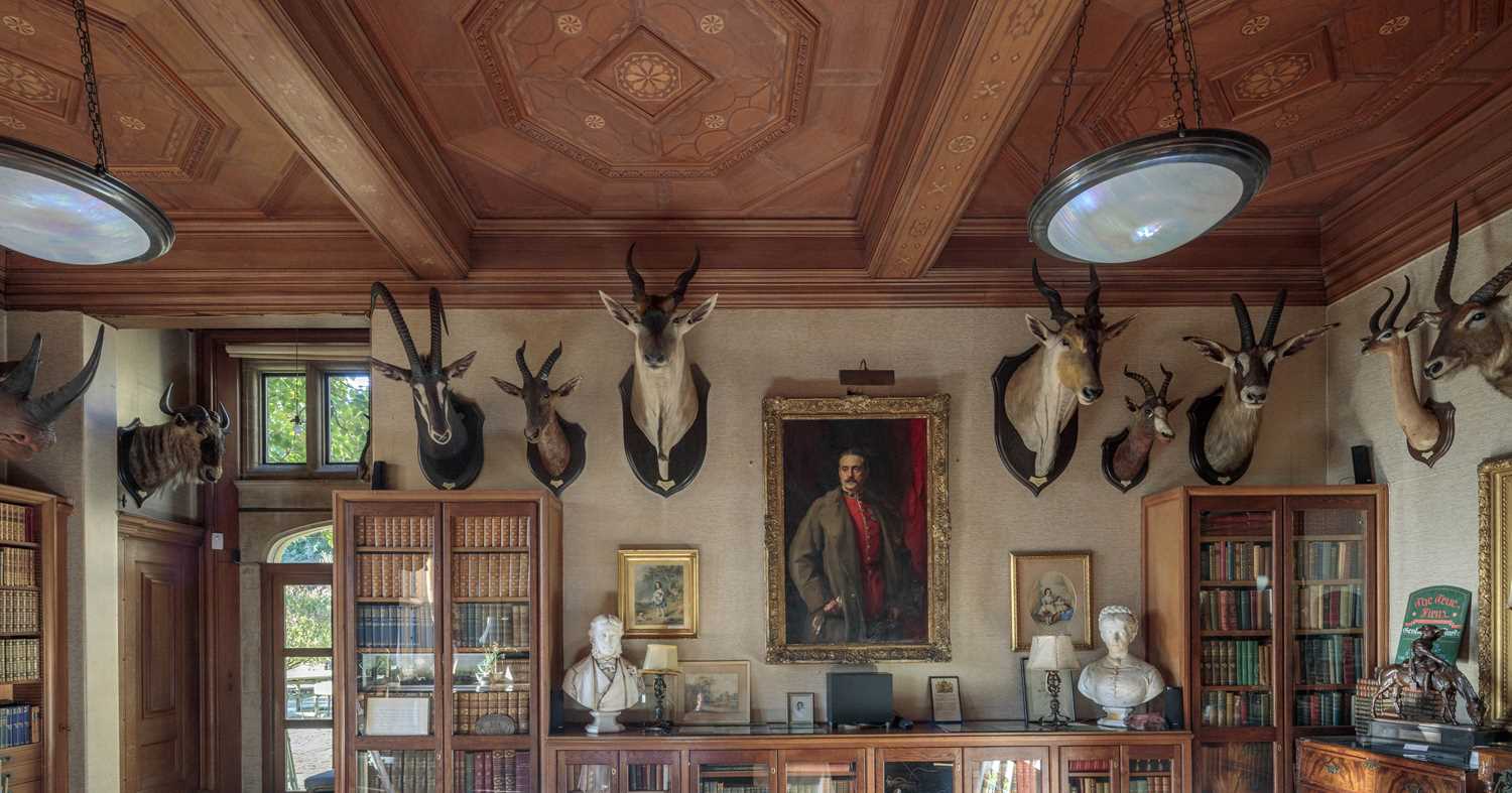 Taxidermy: Livingstone's Eland (Taurotragus oryx livingstonei), dated 1920, Kafue, Zambia, by - Image 9 of 9