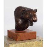 Natural History Bronze: David Cemmick (Contemporary), African Leopard, a superb example in bronze of