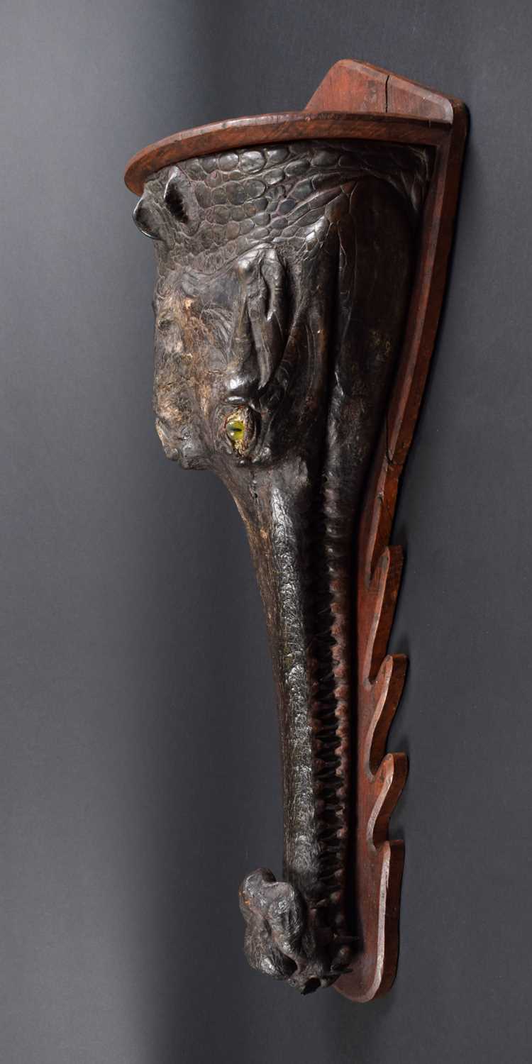 Taxidermy: A Late Victorian Gharial Crocodile Head Mount (Gavialis gangeticus), circa late 19th - Image 4 of 9