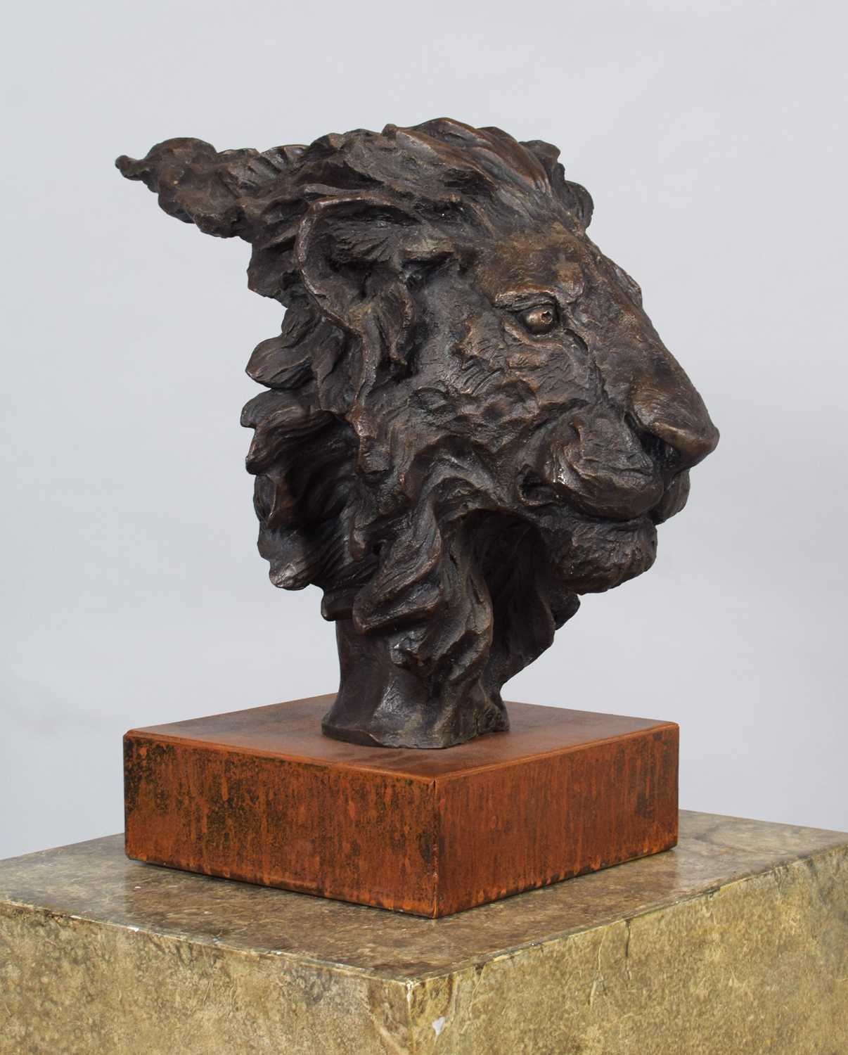Natural History Bronze: David Cemmick (Contemporary), African Male Lion, a superb example in - Bild 3 aus 10