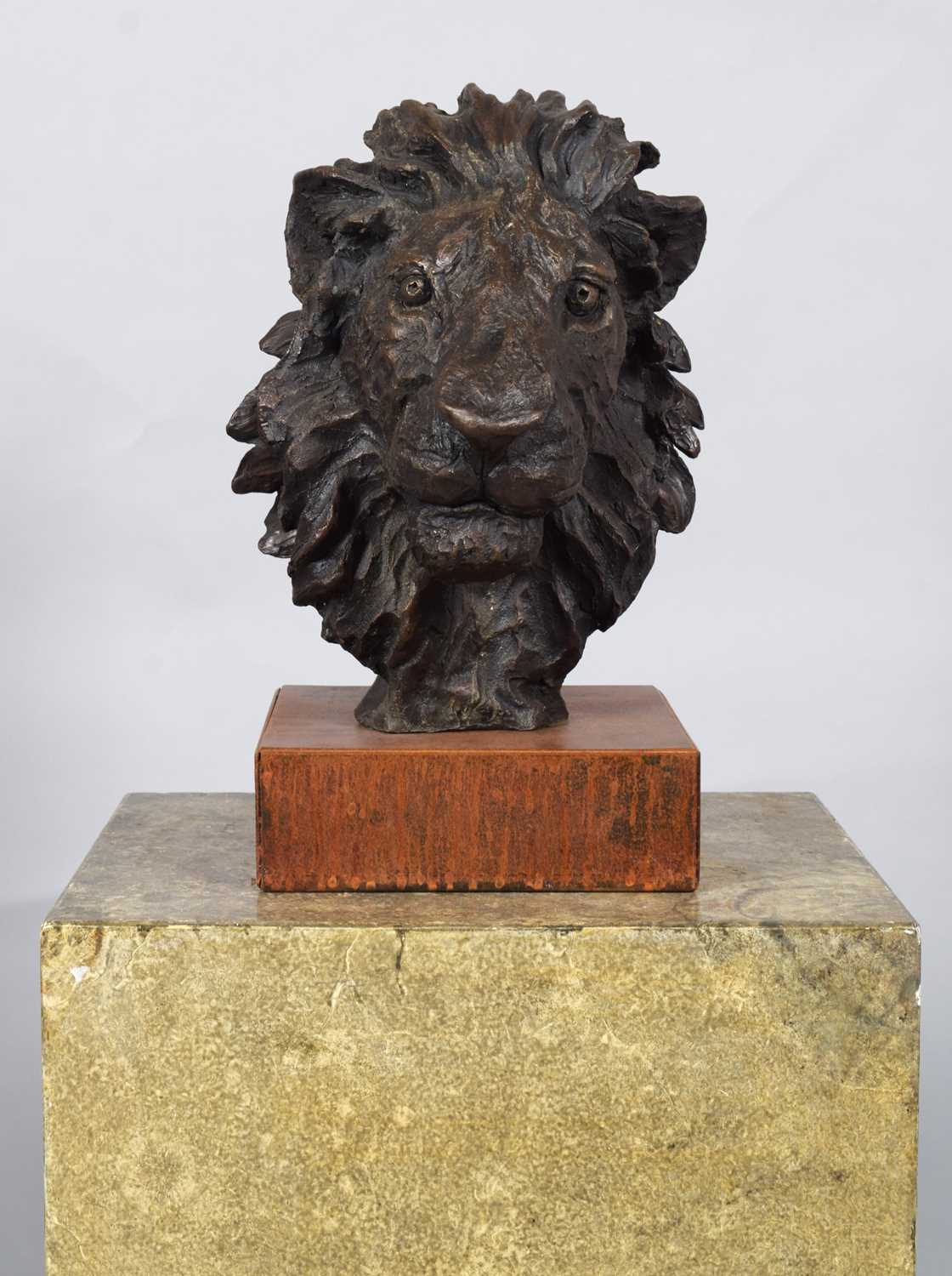 Natural History Bronze: David Cemmick (Contemporary), African Male Lion, a superb example in - Bild 6 aus 10