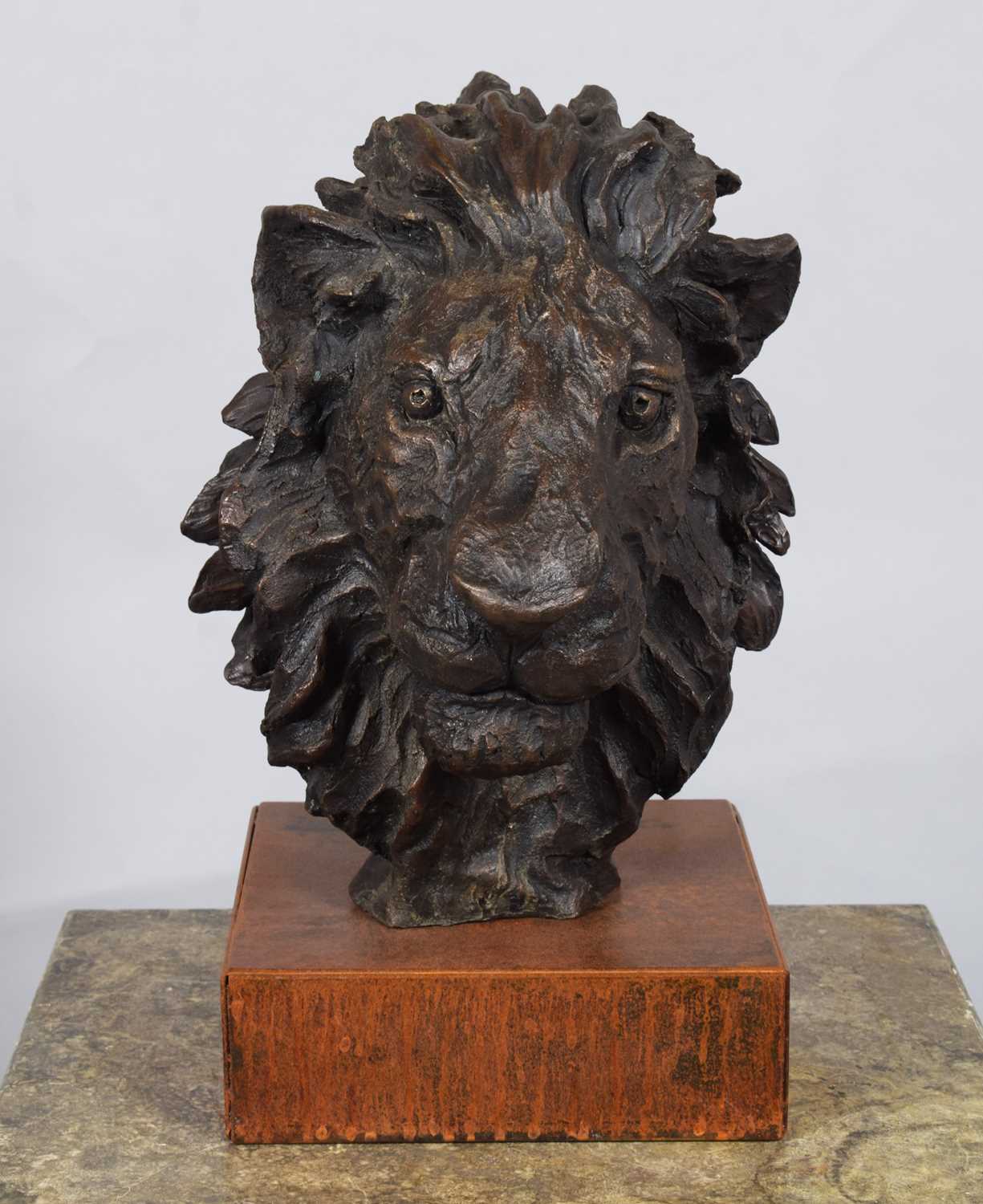 Natural History Bronze: David Cemmick (Contemporary), African Male Lion, a superb example in - Bild 4 aus 10