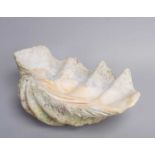 Conchology: Giant Clam Shell (Tridacna gigas), circa early 20th century, a large half shell, 66cm