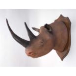 Taxidermy: A Superb Recreation of a Black Rhinoceros (Diceros bicornis), modern, a large high