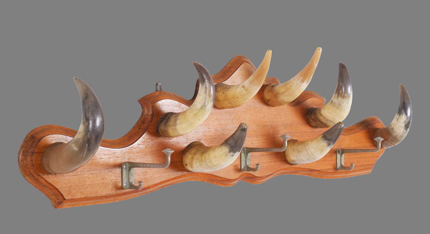 Animal Furniture: A Cow Horn Mounted Coat Rack, circa mid-late 20th century, a walnut framed wall