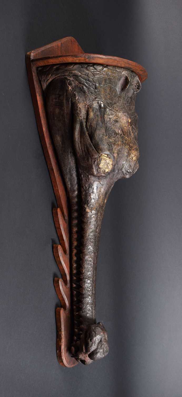 Taxidermy: A Late Victorian Gharial Crocodile Head Mount (Gavialis gangeticus), circa late 19th - Image 5 of 9