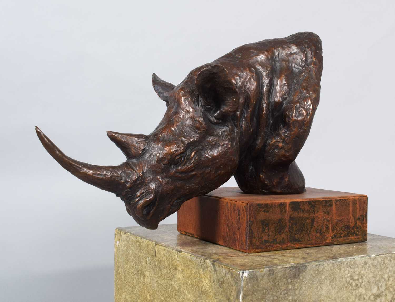Natural History Bronze: David Cemmick (Contemporary), African Rhinoceros, a superb example in bronze - Bild 2 aus 9