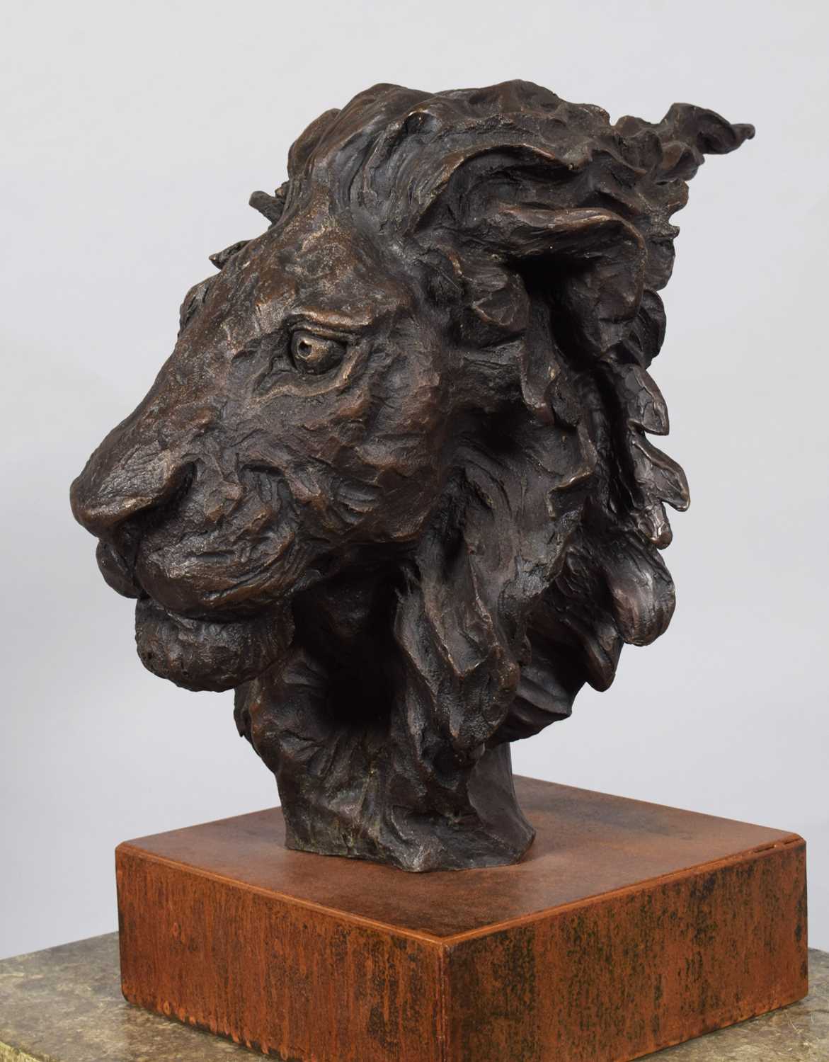 Natural History Bronze: David Cemmick (Contemporary), African Male Lion, a superb example in - Bild 5 aus 10