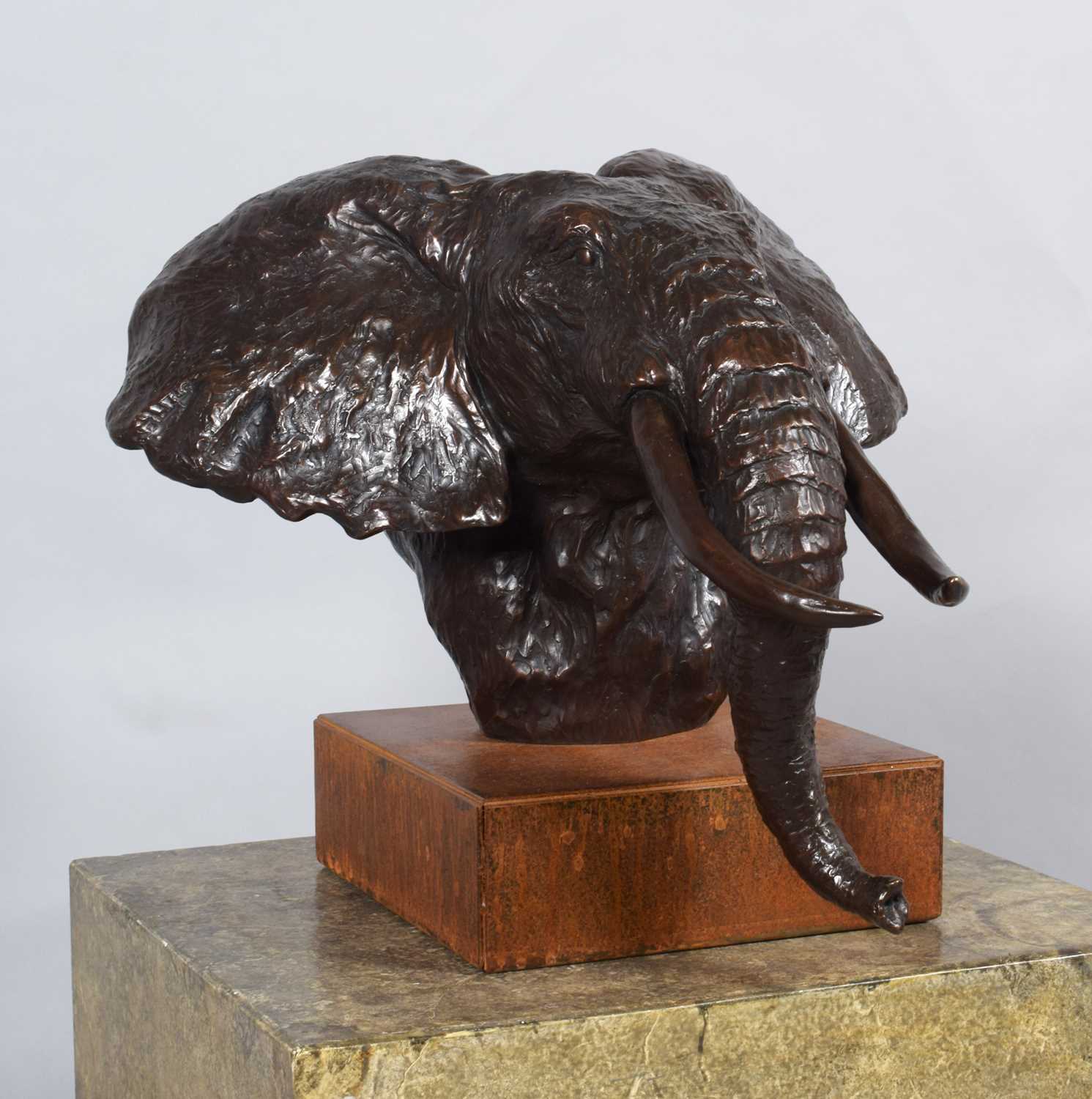 Natural History Bronze: David Cemmick (Contemporary), African Bull Elephant, a superb example in - Image 2 of 6