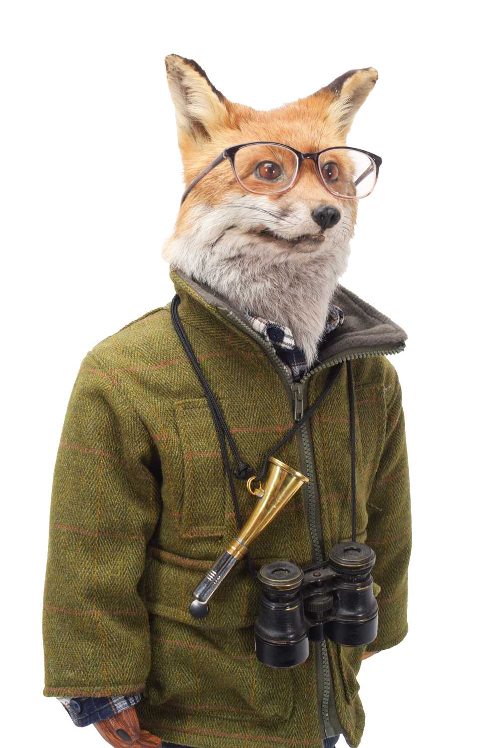 Anthropomorphic Taxidermy: A Rambling European Red Fox (Vulpes vulpes), modern, by Robert Ellis, - Bild 3 aus 3