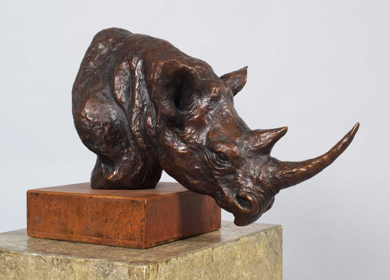 Natural History Bronze: David Cemmick (Contemporary), African Rhinoceros, a superb example in bronze