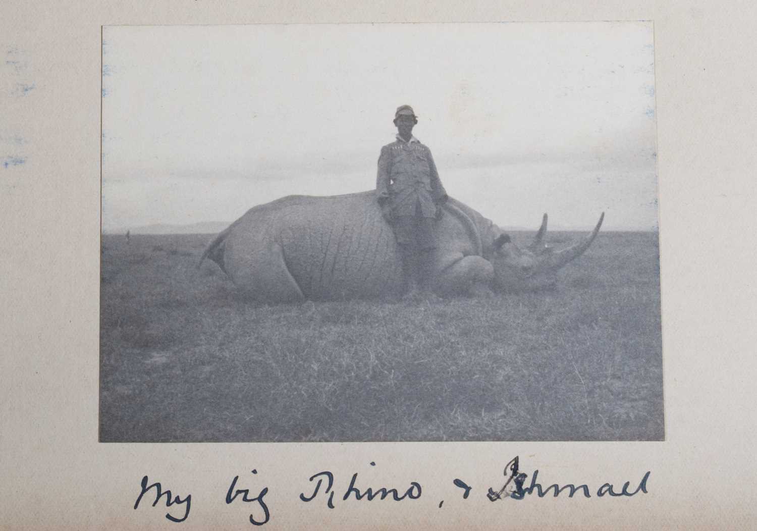 Taxidermy: A Superb Recreation of a Black Rhinoceros (Diceros bicornis), modern, a large high - Image 5 of 8