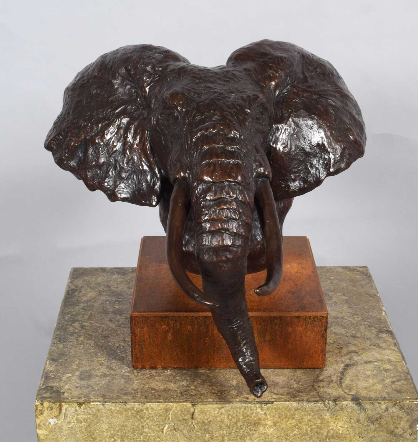 Natural History Bronze: David Cemmick (Contemporary), African Bull Elephant, a superb example in - Image 4 of 6