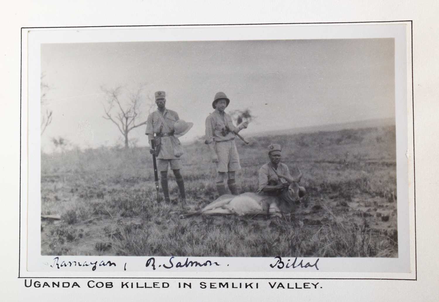 Taxidermy: Uganda Kob (Kobus thomasi), circa Feb 1924, Semliki Valley, Uganda, by Rowland Ward - Image 6 of 7