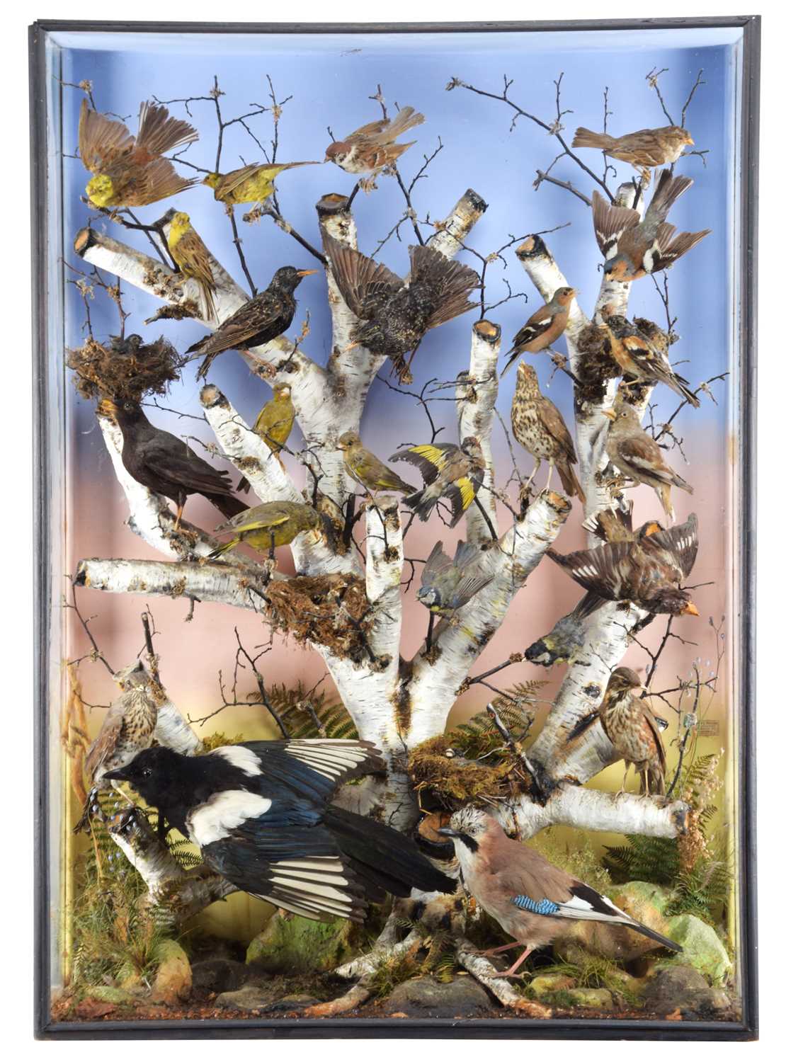 Taxidermy: A Large Late Victorian Diorama of British Woodland Birds, circa 1880-1900, by James E.