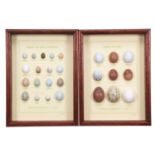 Natural History: A Pair of Framed Collections of Replica Birds Eggs, dated 1989, by S.G. Cox, a