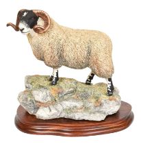 Border Fine Arts 'Blackie Tup', model No. B0354 by Ray Ayres, limited edition 1213/1750, on wood