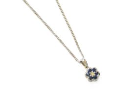 An 18 Carat White Gold Sapphire and Diamond Cluster Pendant on Chain, the round brilliant cut