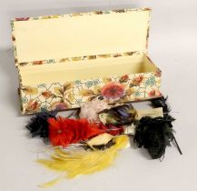 Decorative Early 20th Century Feathered Pins and Millinery Feathers (in a fabric mounted hinged box)