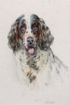 William Woodhouse (1857-1937) Study of a Spaniel Signed, watercolour, 18cm by 12cm