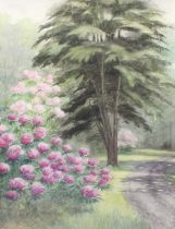 British School (20th Century) Study of a garden Watercolour, together with eleven further garden