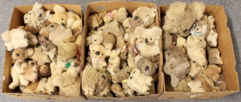 A Large Collection of Koala Bear Teddies , in three boxes (85)