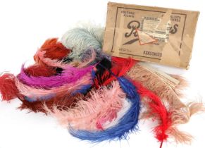 Group of Assorted Ostrich and Other Decorative Feathers in pinks, cream, blues and green etc (in