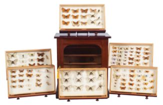 Entomology: A Victorian Stained Pine & Mahogany Entomology Cabinet, of vertical rectangular form,