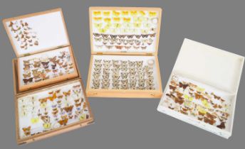 Entomology: A Collection of Various British & European Butterflies, over two hundred and fifty