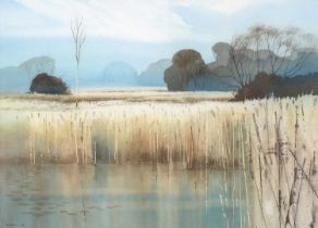 Peter Atkin (Contemporary) ''Reed Beds, Norfolk'' Signed, watercolour, 34cm by 46cm