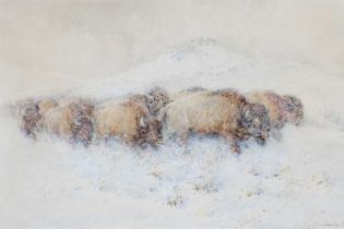 William Woodhouse (1857-1937) Bison on the snow covered tundra Signed, watercolour, 23.5cm by 35cm