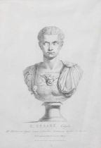 Zanetti After G. A. Faldoni Busts of Roman Emperors, including Caligula, Vespasian, and P.